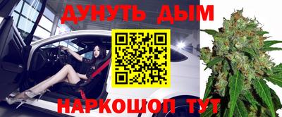 сатива Боровичи