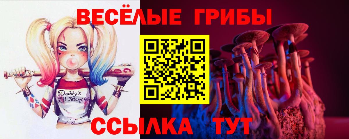 Псилоцибиновые грибы мухоморы  Вход с VPN  Красногорск 